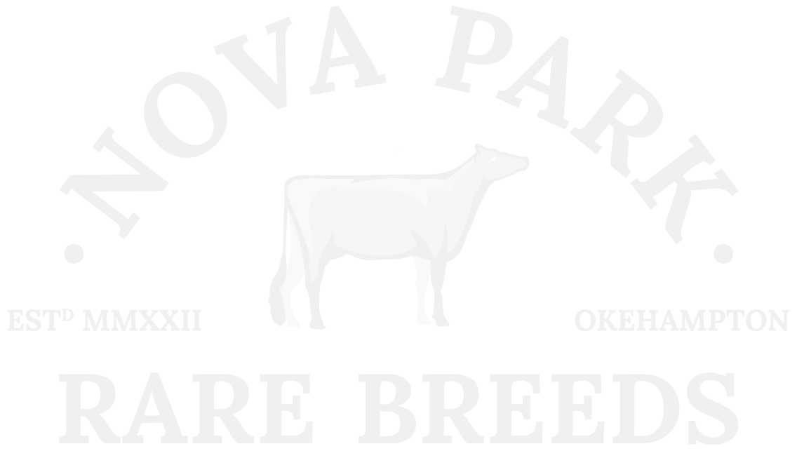 Nova Park Rare Breeds Holsteins Herd Okehampton Devon Full Logo